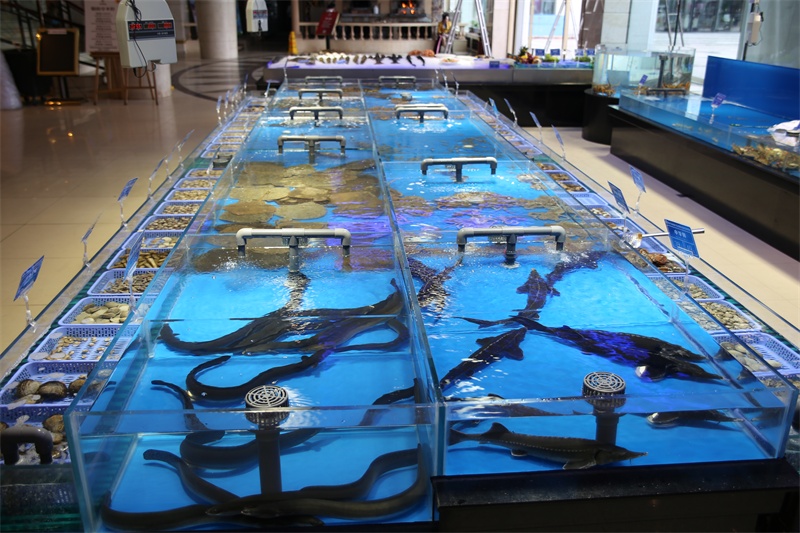 天然海水养殖海鲜