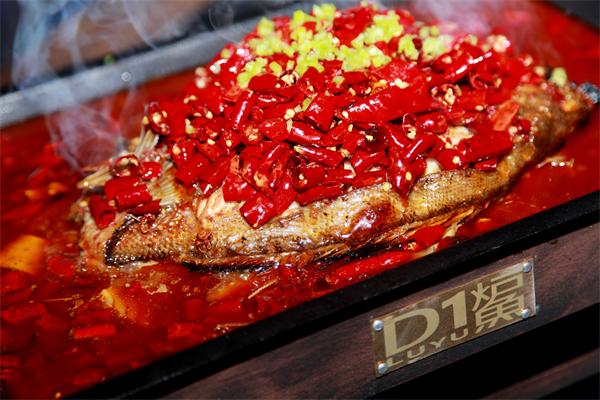 D1炉鱼